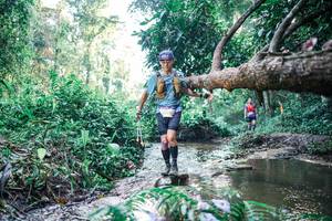 BIB: 
                            <button type="button" onclick="openModal(25434350)" class="btn btn-primary btn-sm float-right btn-popup" data-toggle="modal" data-target=".modal-high-quality">
                        <i class="fas fa-shopping-cart"></i> Add to Cart
                    </button>
                                            <button type="button" onclick="isThisMe(25434350, true)" class="btn btn-success btn-sm float-right btn-popup btn-isme hidden" data-toggle="tooltip" data-placement="bottom" title="นี่คือรูปของคุณใช่ไหม คลิกที่นี่เพื่อเอาเข้าอัลบั้ม">
                        <i class="fas fa-plus"></i> Add to album
                    </button>
                    <button type="button" onclick="isThisMe(25434350, false)" class="btn btn-warning btn-sm float-right btn-popup btn-isnotme hidden">
                        <i class="fas fa-ban"></i> Remove from album
                    </button>